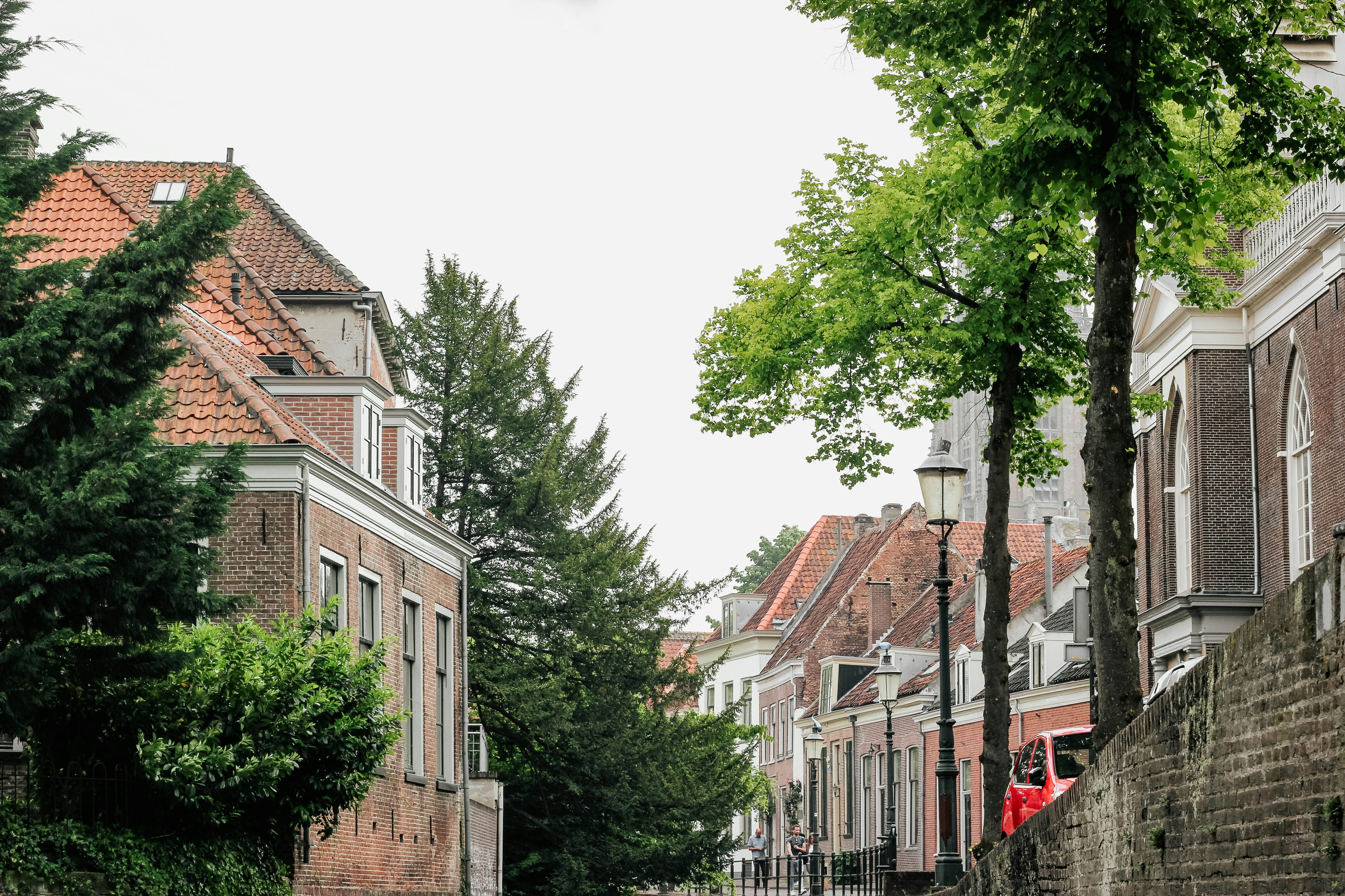 green trees beside buildings